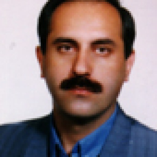 تصویر پیروز رفیعیان