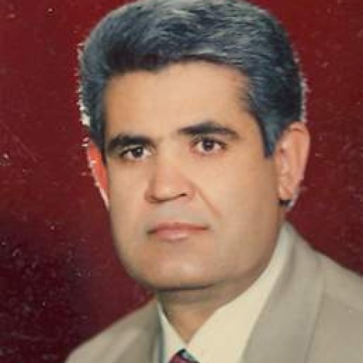 تصویر محمد حسنی