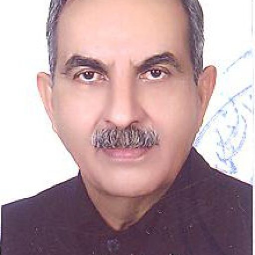 تصویر مالک پورمحمد