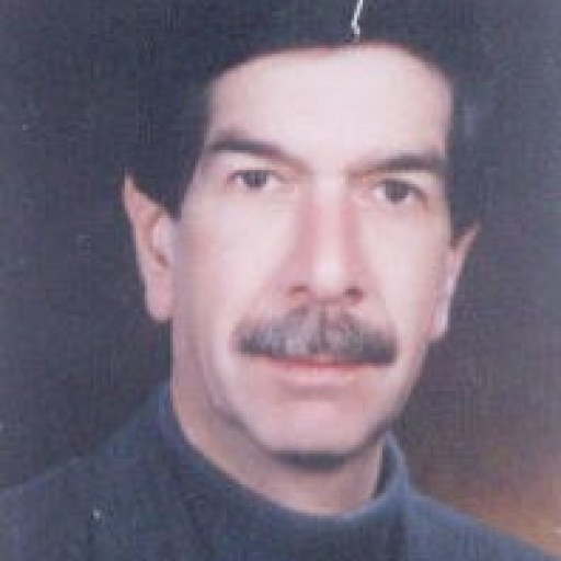 تصویر ضیاءاله فرخنده