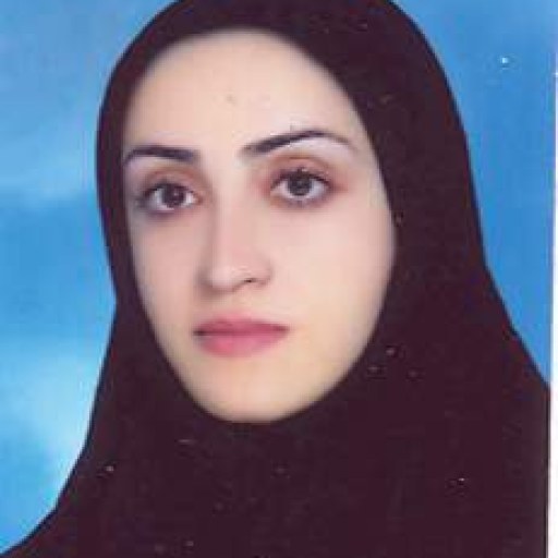 تصویر مرضیه سلیمانی