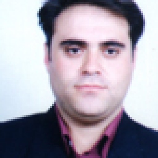 تصویر میرمسعود سیدانزابی نژاد