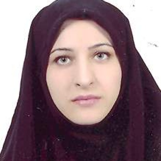تصویر سیده مریم میراحمدی کرمی
