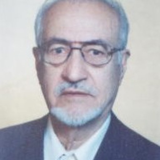 تصویر علی فرزامی