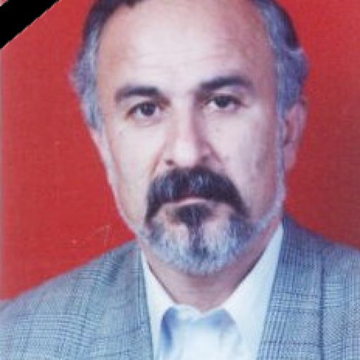 تصویر غضنفر عباس پور