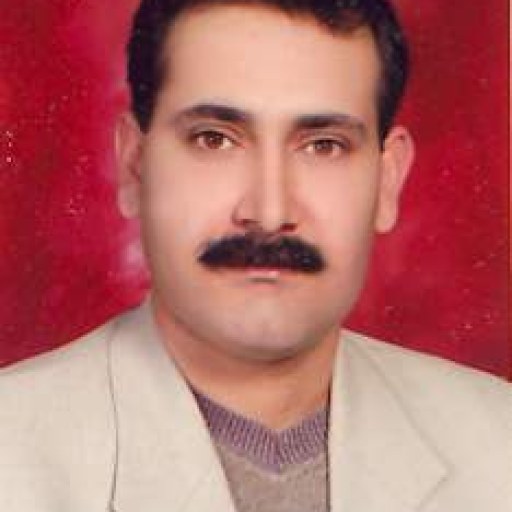 تصویر بهزاد افضلی