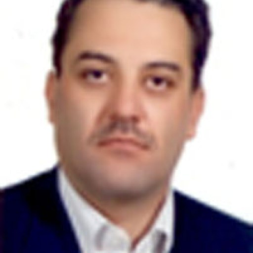 تصویر بهزاد محمودی فر