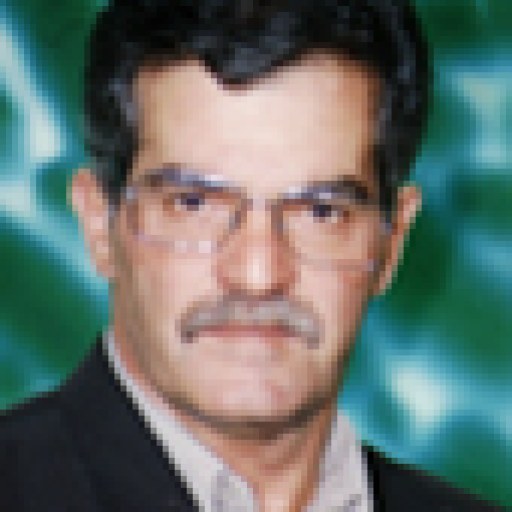 تصویر محمدرضا دلجوی