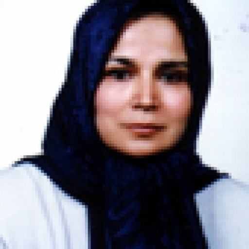 تصویر مینو شیخ عطاری