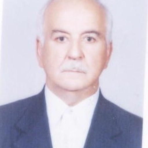 تصویر بهروز طهرانچی