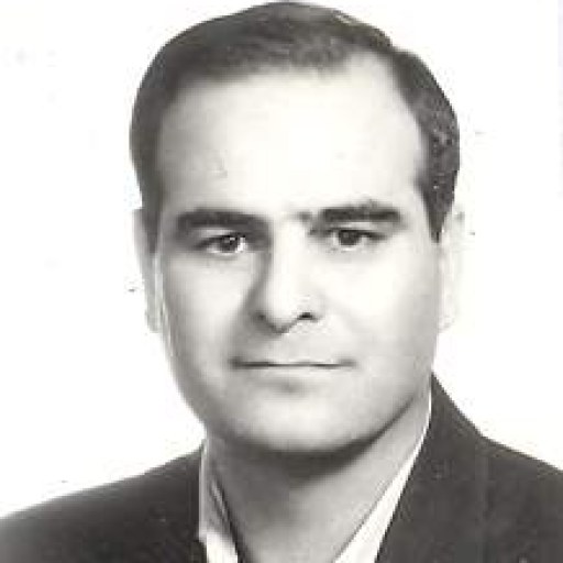 تصویر محمدرضا حسین آبادی