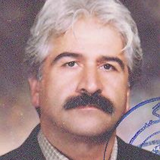 تصویر علی نائینی زاده