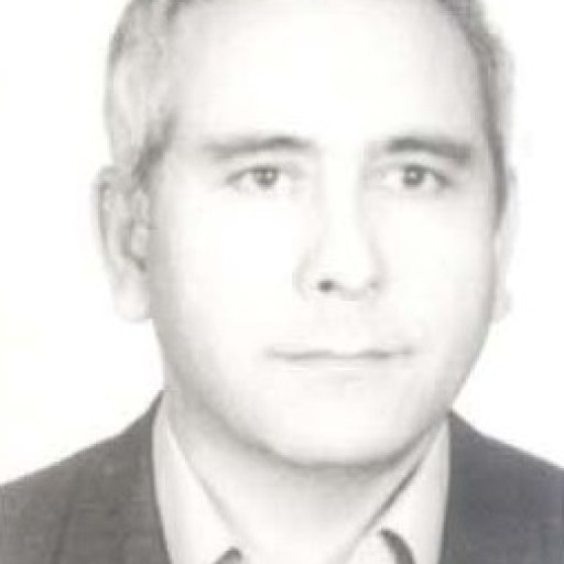 تصویر محمد بردی زاده