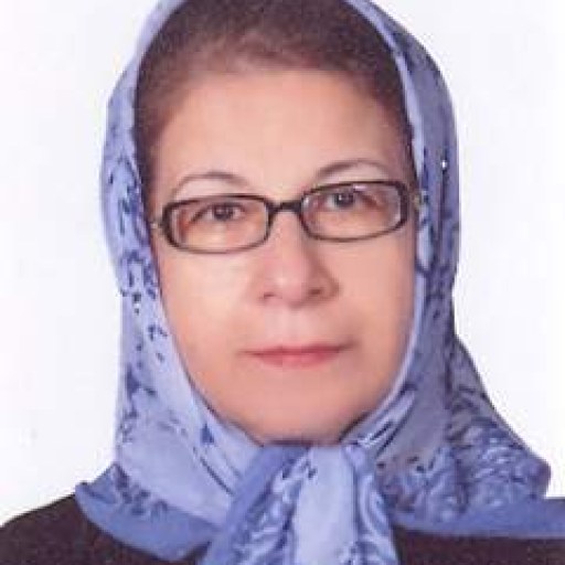 تصویر مینا صمصامی