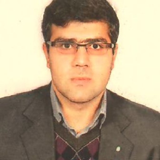 تصویر حامد آریانفر