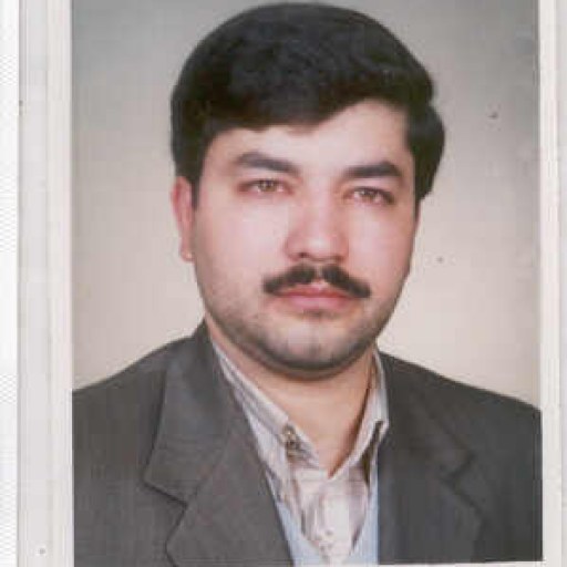 تصویر مهدی امیدبیگی