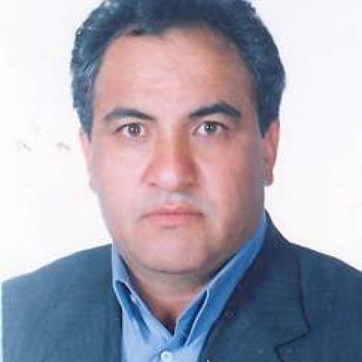 تصویر علی اصغر محمدی