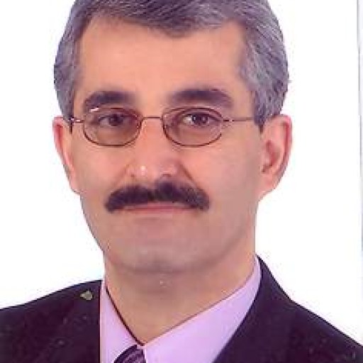 تصویر سیدآریا سجادی
