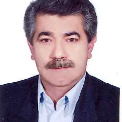 تصویر حمید فرخ نژاد