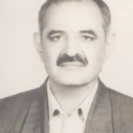 تصویر محمود عسگری