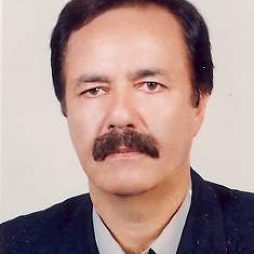 تصویر علی همایونی