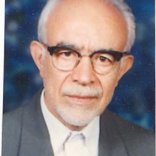 تصویر سیدعلی محمد فیض