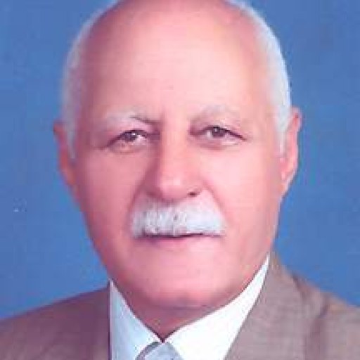 تصویر طوس امیراحمدی