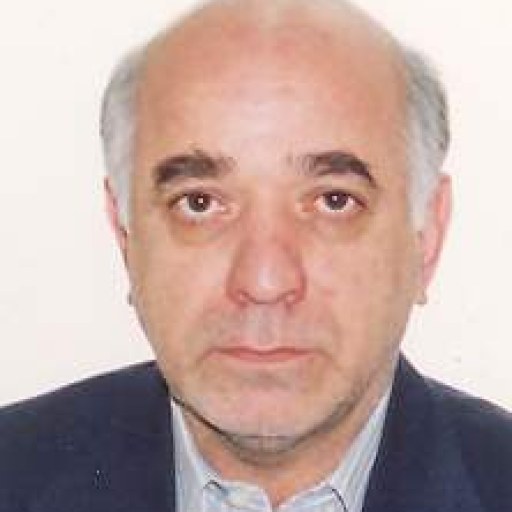 تصویر حسن بادامچی