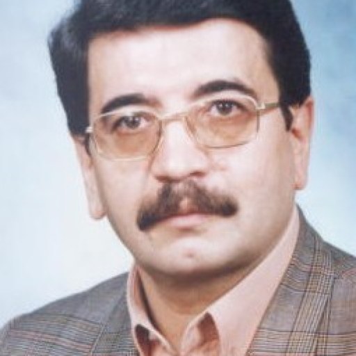 تصویر محمدرضا پی رزم