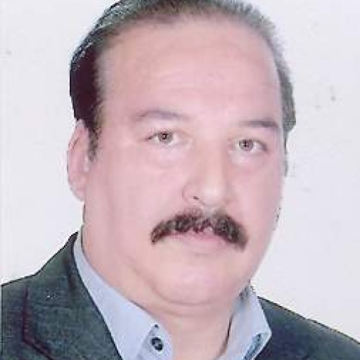 تصویر سید محسن حجتی