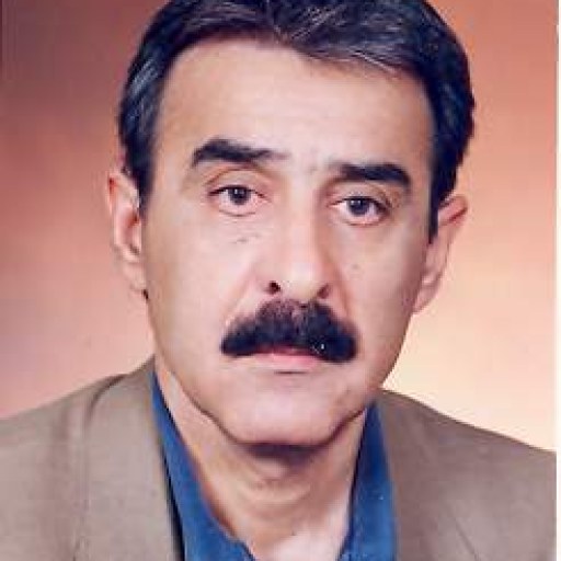 تصویر غلامرضا رستم زاده