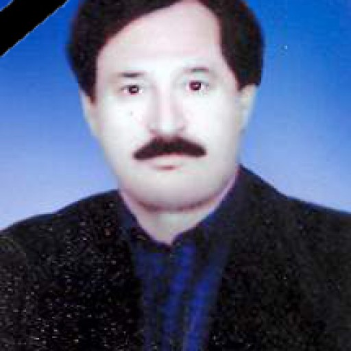 تصویر سیدحسین مدرسی صدرائی