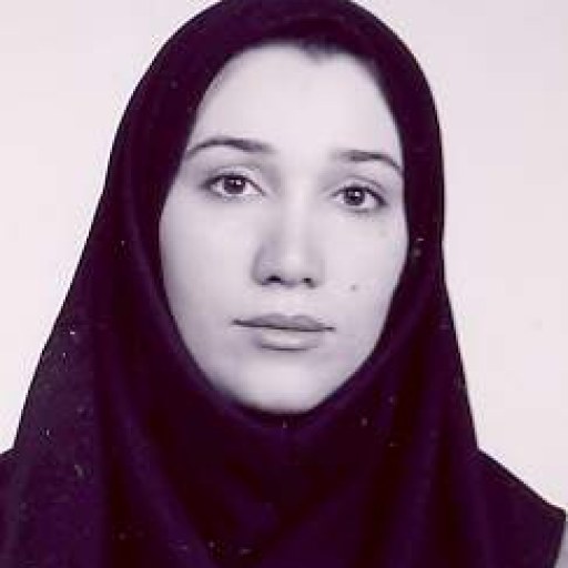 تصویر نسیم حسینی فر