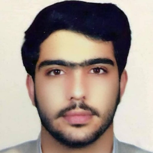 تصویر سیدمحمدرضا حسینی
