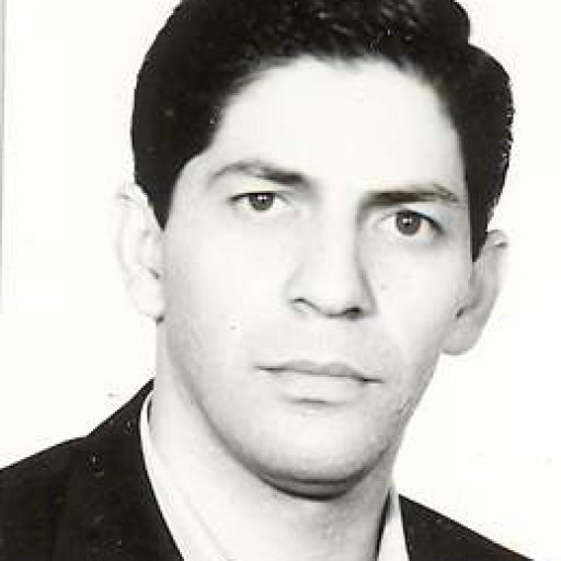 تصویر بابک عسکری