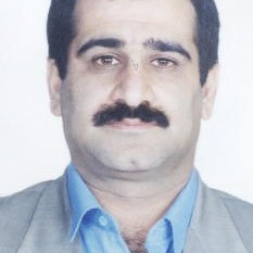 تصویر حسن مرادزاده