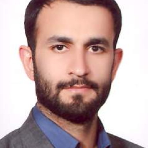 تصویر محمد رهگذر