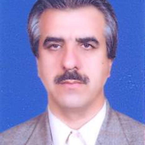 تصویر محمدرضا امیرمحمدی
