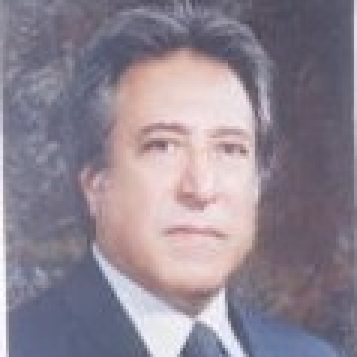 تصویر سیدمصطفی میرهاشمی