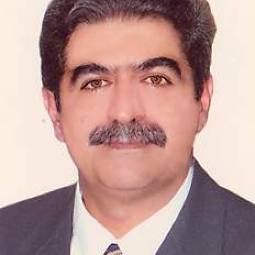 تصویر محمدصادق عرب زاده
