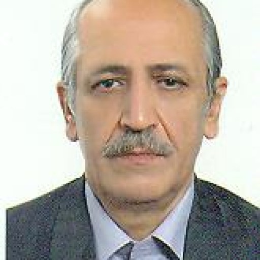 تصویر سیدشجاع میرمعینی