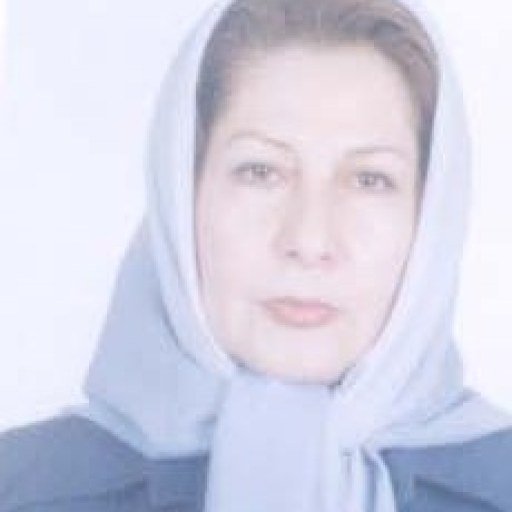 تصویر مهرآفاق نوری مراغه