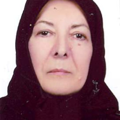 تصویر اعظم برهانی محمدی