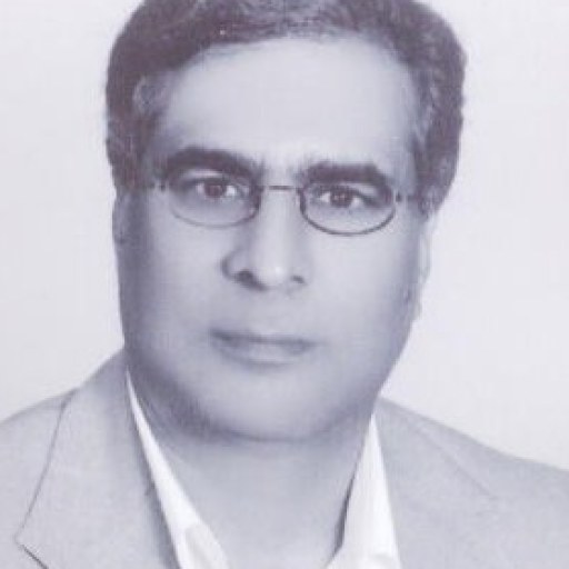 تصویر حسین حمیدی