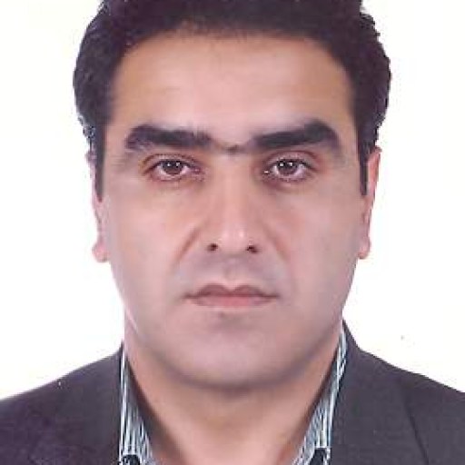 تصویر روزبه محبی