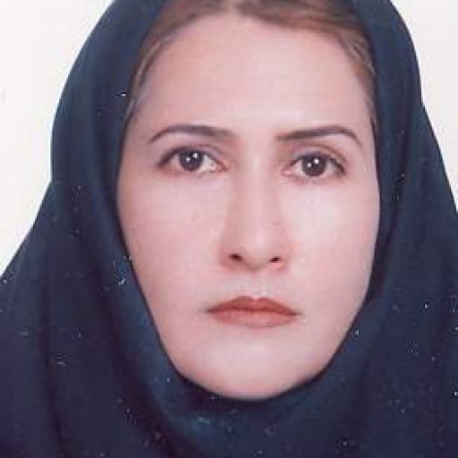 تصویر مریم امجدی