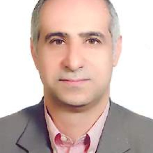 تصویر تاج الدین ریاضی