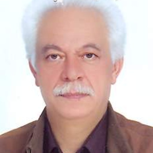 تصویر سیدجواد تمدن