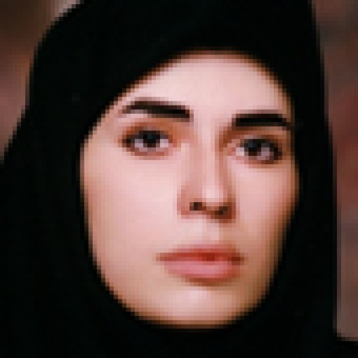 تصویر الهام میدانی