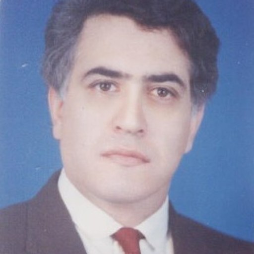 تصویر سیدابوالفضل شهاب رضوی